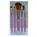 EBM Exmon Cosmetic Brush set of cosmetic brushes 5 pieces BC 291