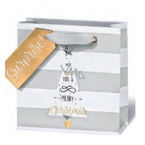 BSB Luxury gift paper bag 14.5 x 15 x 6 cm Christmas VDT 428 - CD