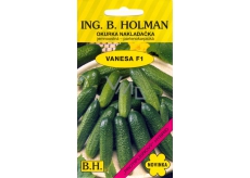 Holman Vanesa F1 cucumber loader - parthenocarpic 1.5 g