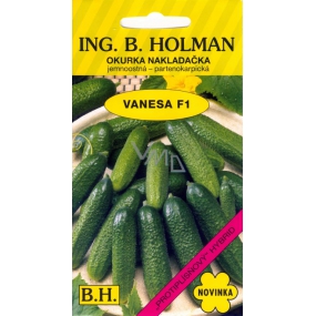 Holman F1 Vanesa cucumbers Vanessa cucumbers - fine-grained 1,5 g