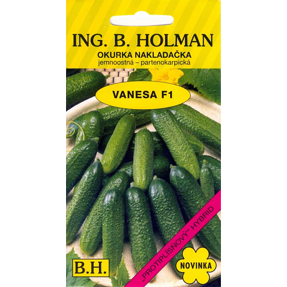 Holman F1 Vanesa cucumbers Vanessa cucumbers - fine-grained 1,5 g