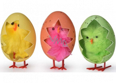 Chicken in an egg colored 3 pieces in a box