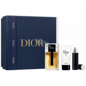 Christian Dior Homme eau de toilette for men 100 ml + eau de toilette for men miniature 10 ml + shower gel 50 ml, gift set for men