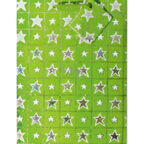 Nekupto Gift paper bag hologram 23 x 18 x 10 cm Christmas, green, 016 50 GM