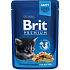Brit Premium Chicken pieces in sauce complete food for kittens pocket 100 g
