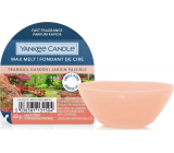 Yankee Candle Tranquil Garden - Silent Garden scented wax for aromatherapy 22 g