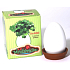 Albi Mini Garden Happiness gift box set for growing