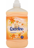 Coccolino Orange Rush concentrated softener 72 doses 1.8 l