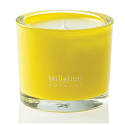 Millefiori Milano Natural Pompelmo - Grep Scented candle burns up to 60 hours 180 g