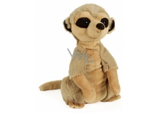 Albi Warm plush meerkat 25 x 20 cm 750 g