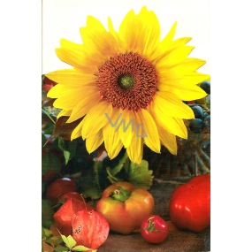 Nekupto Sunflower greeting card