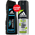 Adidas Cool & Dry 48h 6in1 antiperspirant deodorant spray for men 150 ml + Adidas Intense Clean shampoo for normal hair for men 200 ml, cosmetic set