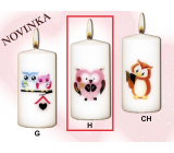 Lima Owls Pink Owl Candle with Decal White Cylinder 50 x 100 mm 1 piece