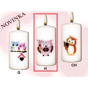 Lima Owls Pink owl candle with decal white cylinder 50 x 100 mm 1 piece