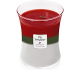 WoodWick Trilogy Winter Garland - Winter garland scented candle with wooden wick and lid glass medium 275 g