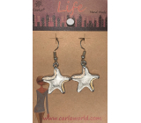 Albi Jewellery Starfish earrings 1 pair