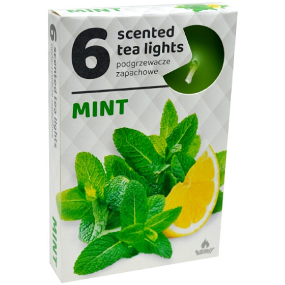 Tea Lights Mint Scented Candles 6 Pieces