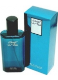 Davidoff Cool Water Men eau de toilette 125 ml