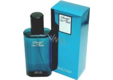 Davidoff Cool Water Men eau de toilette 125 ml