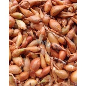 Všetana onion seedling weighed 250 g