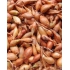 Všetana onion sets weighed 250 g