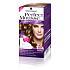 Perfect Mousse Permanent Color Hair Color 665 Light Golden Brown