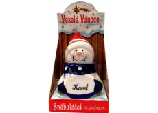 Nekupto Sněhuláček se jménem Karel Vánoční dekorace 034 rozměr 8 cm