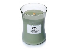 WoodWick Candle Medium Applewood 1015