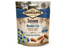 Carnilove Dog Salmon with blueberries delicious crunchy treat suitable for all dogs to support brain function 200 g