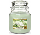 Yankee Candle Afternoon Escape - afternoon escape scented candle Classic medium glass 411 g