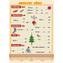 Ditipo Length Units Educational Chart A4