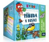 Albi Kvído Nature in a nutshell quick memory game recommended age 8+