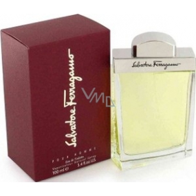 Salvatore Ferragamo pour Homme AS 100 ml mens aftershave