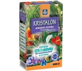 Agro Kristalon Houseplants universal fertilizer 0.25 kg for 125 l watering