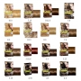 Loreal Excell 10 Hair Color Shade 8.3 Light Golden Blonde