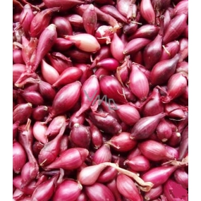 Karmen, Red onion planter 20 kg