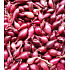 Karmen, Red onion planter 20 kg