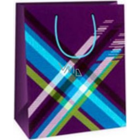 Ditipo Gift paper bag 18 x 10 x 22.7 cm blue - colored checkered