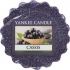 Yankee Candle Cassis - Blackcurrant scented wax for aroma lamp 22 g