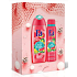 Fa Fiji Dream shower gel 250 ml + deodorant spray 150 ml, cosmetic set