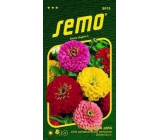 Semo Sticky Ginger Geant de California 0.7 g