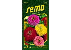 Semo Sticky Ginger Geant de California 0.7 g
