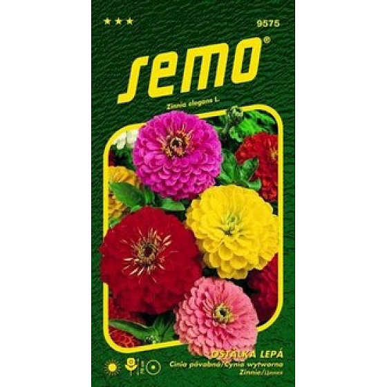 Semo Sticky Ginger Geant de California 0.7 g