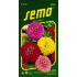 Semo Sticky Ginger Geant de California 0.7 g