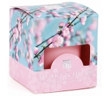 Heart & Home Cherry blossom Soy scented candle without packaging burns for up to 15 hours 53 g