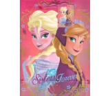 Ditipo Disney Dárková papírová taška dětská L Elsa a Anna, Sisters Forever 26,4 x 12 x 32,4 cm