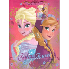Ditipo Gift paper bag 26.4 x 12 x 32.4 cm Disney Elsa and Anna, Sisters Forever