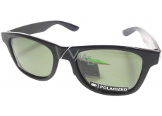 Sun Polarized A-Z30AP