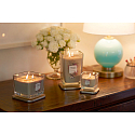 Yankee Candle Velvet Woods Elevation small glass 1 wick 96 g