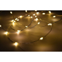 Emos Christmas lights warm white 40 LED 2 m